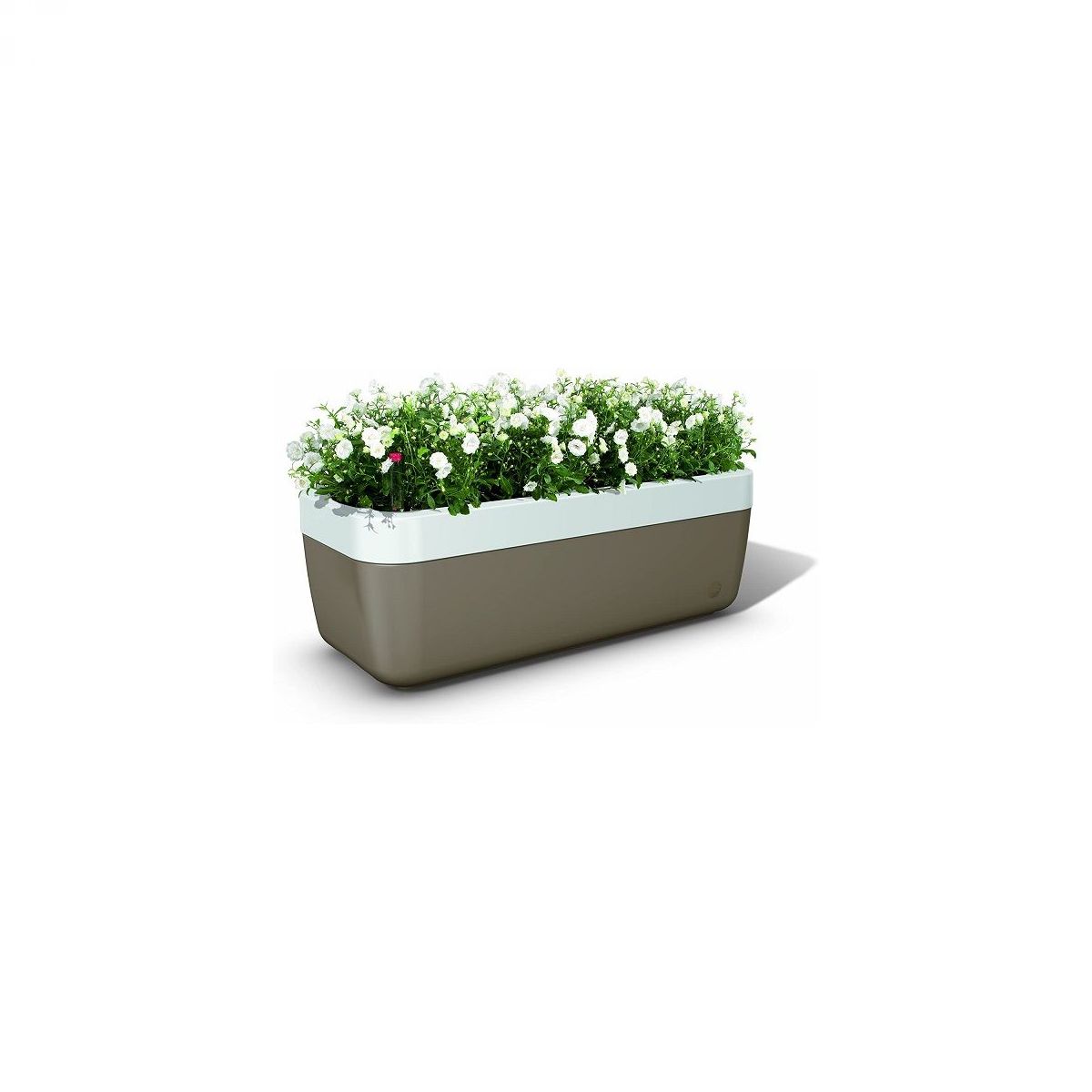 Korito za rastline, 50 cm, aluminij - EMSA MyBox